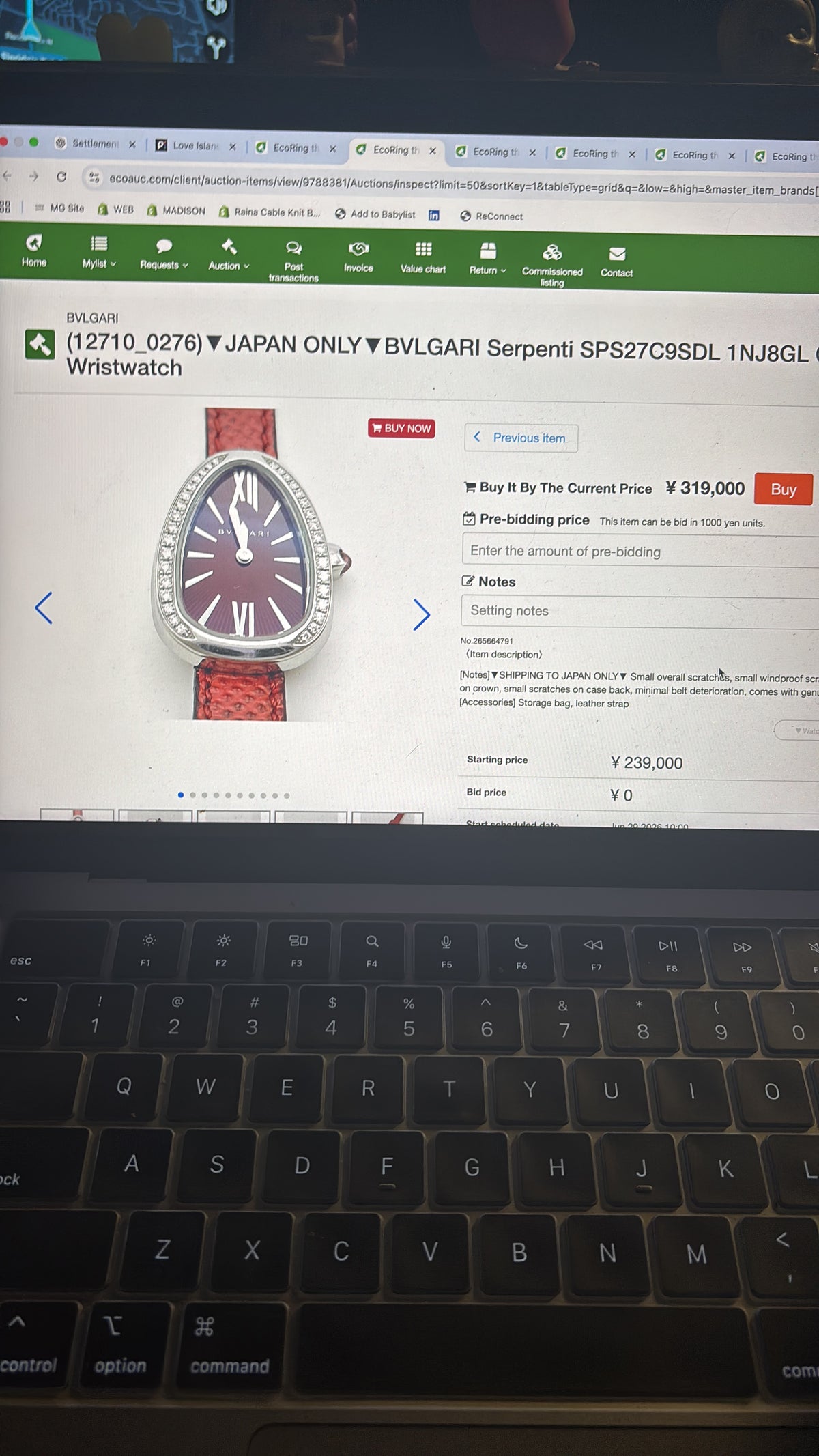 Bvlgari serpenti
